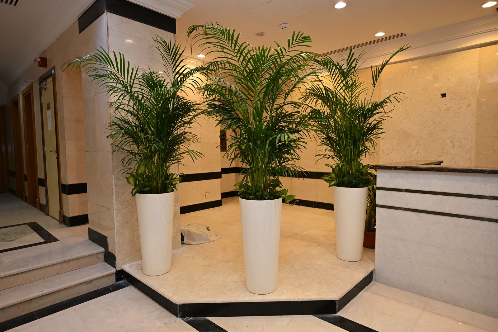 Salsabil Al Fadi Hotel